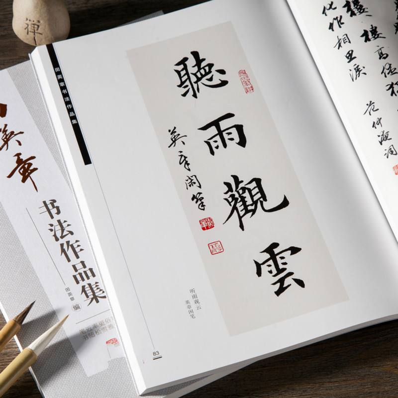Libro de escritura de caligraf - Chinese Calligraphy Practice Book reseña y precio