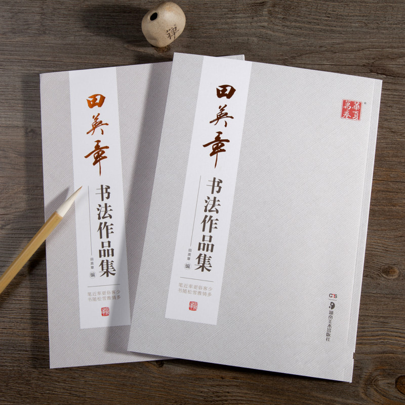 Libro de escritura de caligraf - Chinese Calligraphy Practice Book reseña y precio