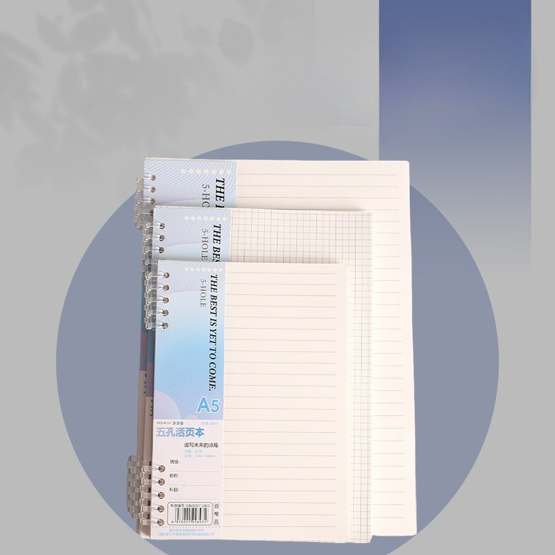 Recambio de hojas sueltas para - A5 Spiral Dotted Grid Notebook reseña y precio